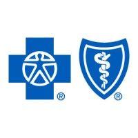 blue cross blue shield of michigan logo image