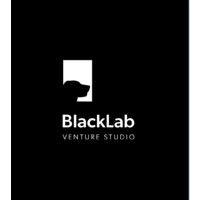 blacklab venture studio logo image