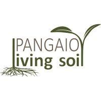 pangaio living soil logo image