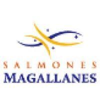 salmones magallanes