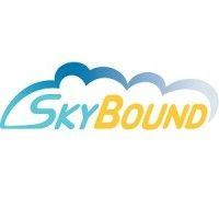 skybound usa logo image