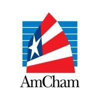 amcham hk logo image