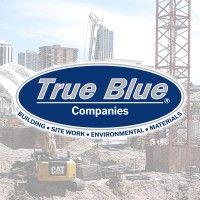 true blue environmental