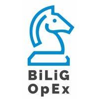 bilig operational excellence consultants logo image