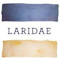 laridae logo image