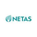 logo of Netas