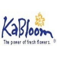 kabloom india pvt ltd logo image