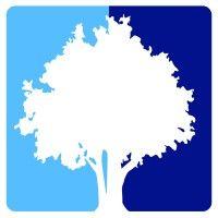 shade tree advisors llc logo image