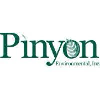 pinyon environmental, inc. logo image