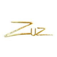 zuz logo image