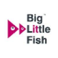 big little fish logo image