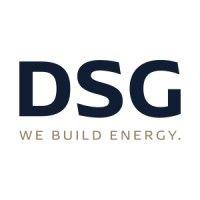 dsg logo image