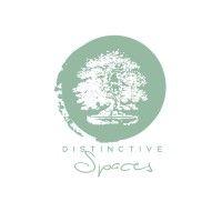 distinctive spaces logo image