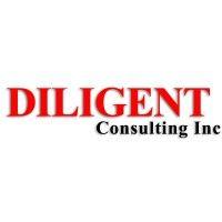 diligent consulting inc logo image