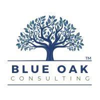 blue oak consulting llc logo image