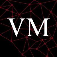 viral marketer llc logo image