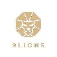 8 lions agency ltd logo image