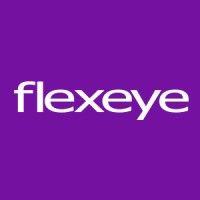 flexeye logo image