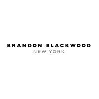 brandon blackwood new york