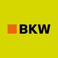 bkw ag logo image