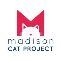 madison cat project