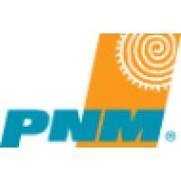 public service company of new mexico (pnm) logo image