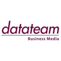 datateam business media ltd logo image