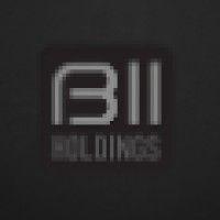 bii holdings logo image