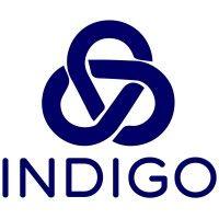 indigo global investors, llc