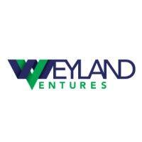 weyland ventures logo image