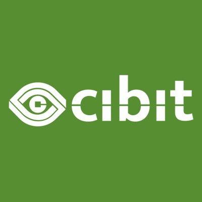 Cibit logo image