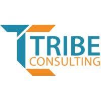 tribe consulting (pvt.) ltd. logo image