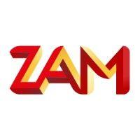 zamfaiz.com logo image