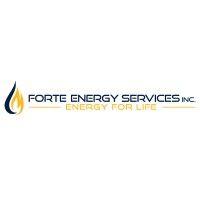 forte energy services inc.