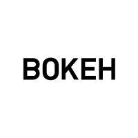 bokeh logo image