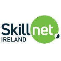 skillnet ireland logo image