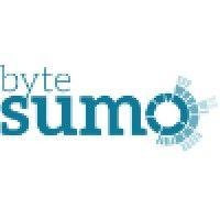 bytesumo ltd logo image