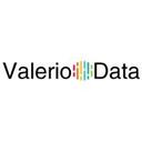 logo of Valerio Data