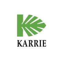 karrie international holdings limited logo image