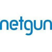 netgun solutions logo image