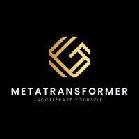 metatransformer capital group logo image