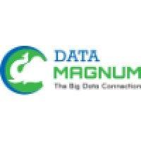 data magnum logo image