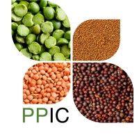 plant protein innovation center logo image