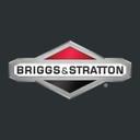 logo of Briggs Stratton