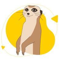 meerkat.link logo image