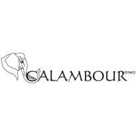 calambour s.r.l.