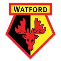 watford football club logo image