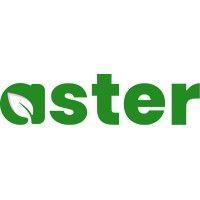 aster bi logo image