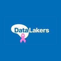 datalakers tecnologia logo image