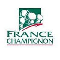 france champignon logo image